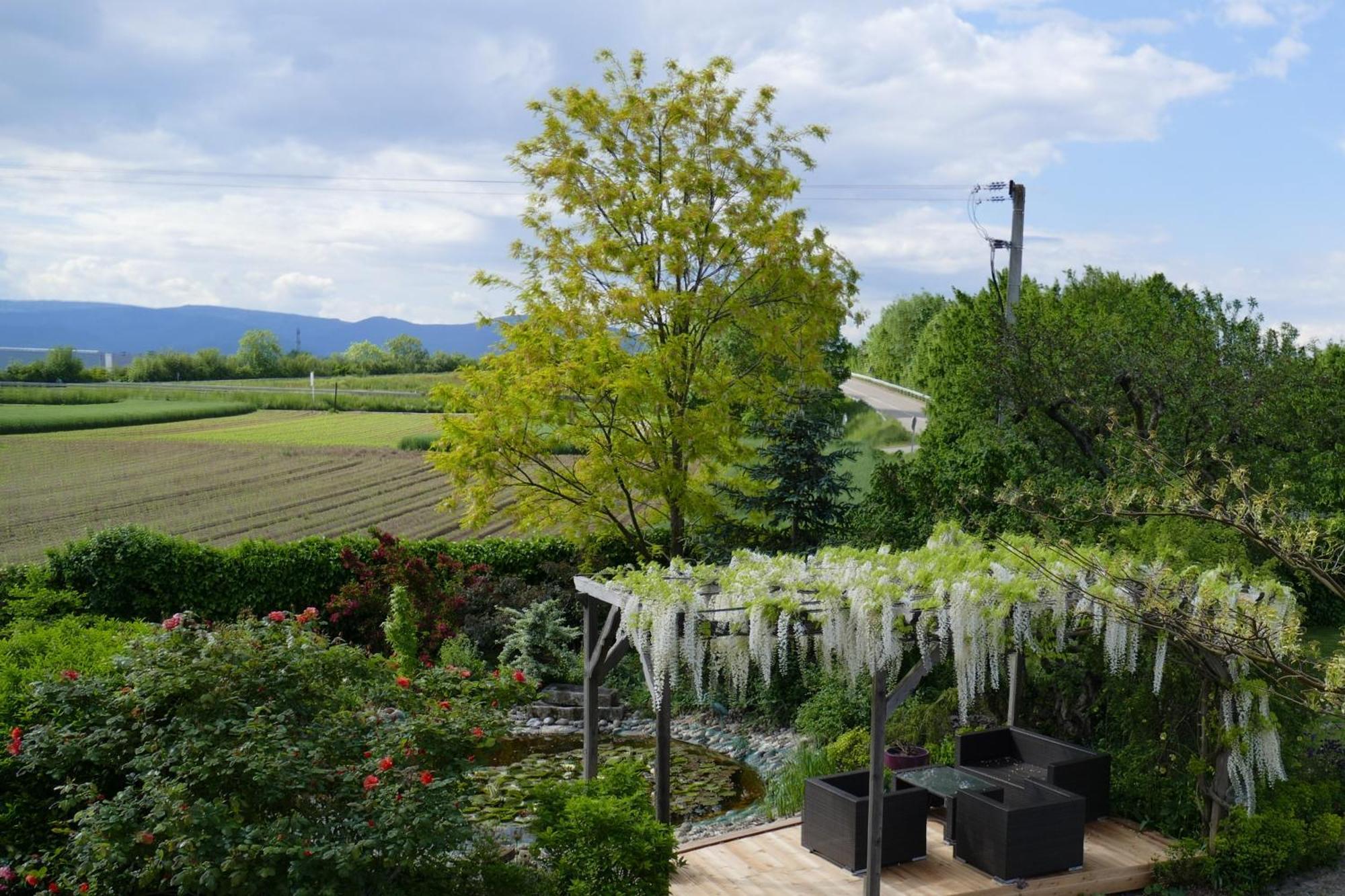 Au Relais De L'ill 3*
